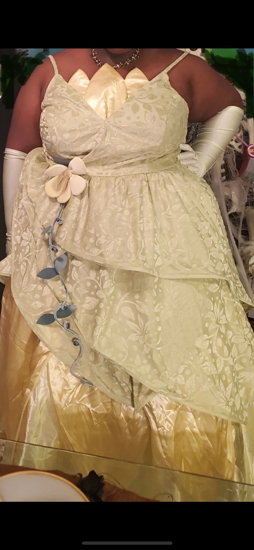 Disney’s Halloween Princess And The Frog Woman Deluxe Plus Size Tiana Dress Costume