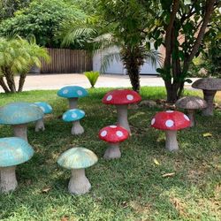 Mushrooms for sale