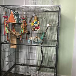 Bird Cage With Accessories 