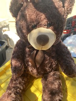 Toy bear oso grande