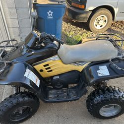 Atv Polaris 