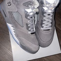Wolf Grey 11