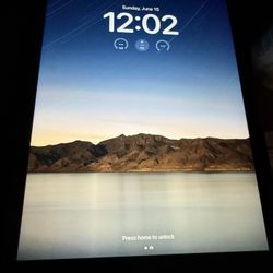 iPad 
