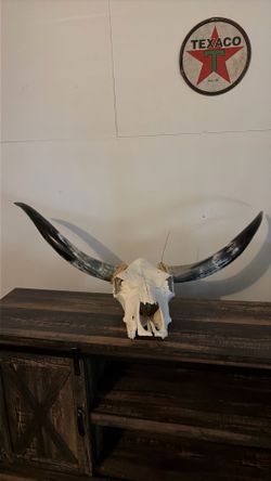 Longhorn decor