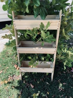 Handmade plants stand serious inquires no bargain