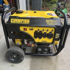 Champion Power Equipment Generator