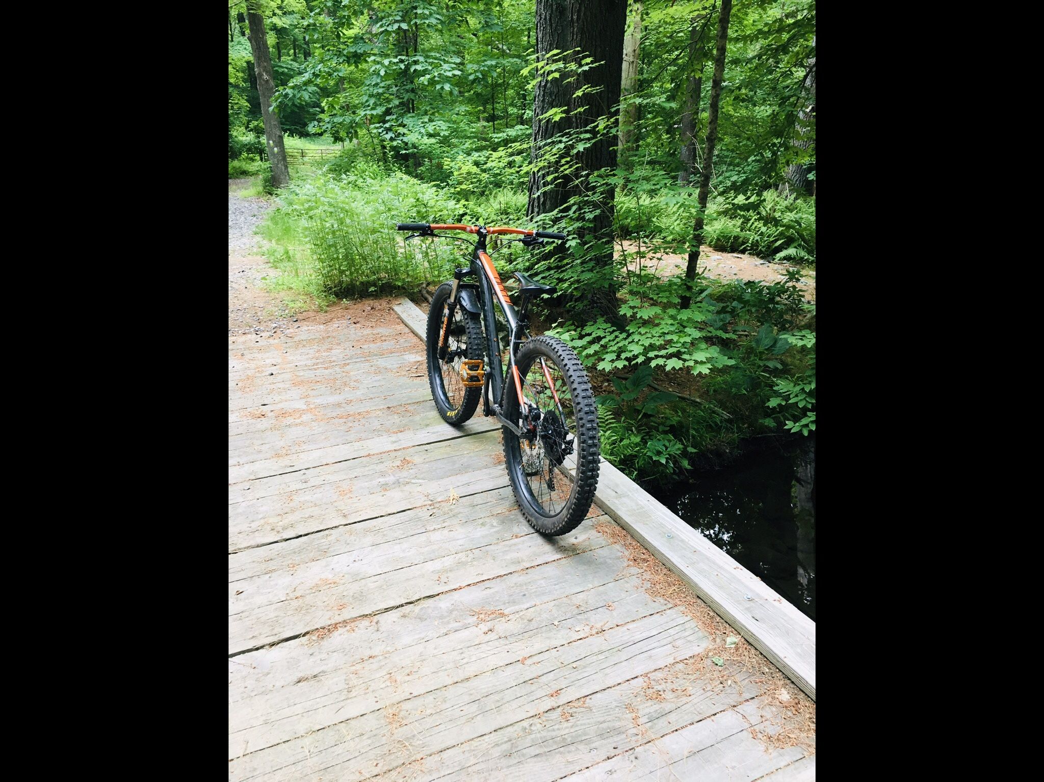 2018 Cujo 2 Cannondale Plus Size Bike