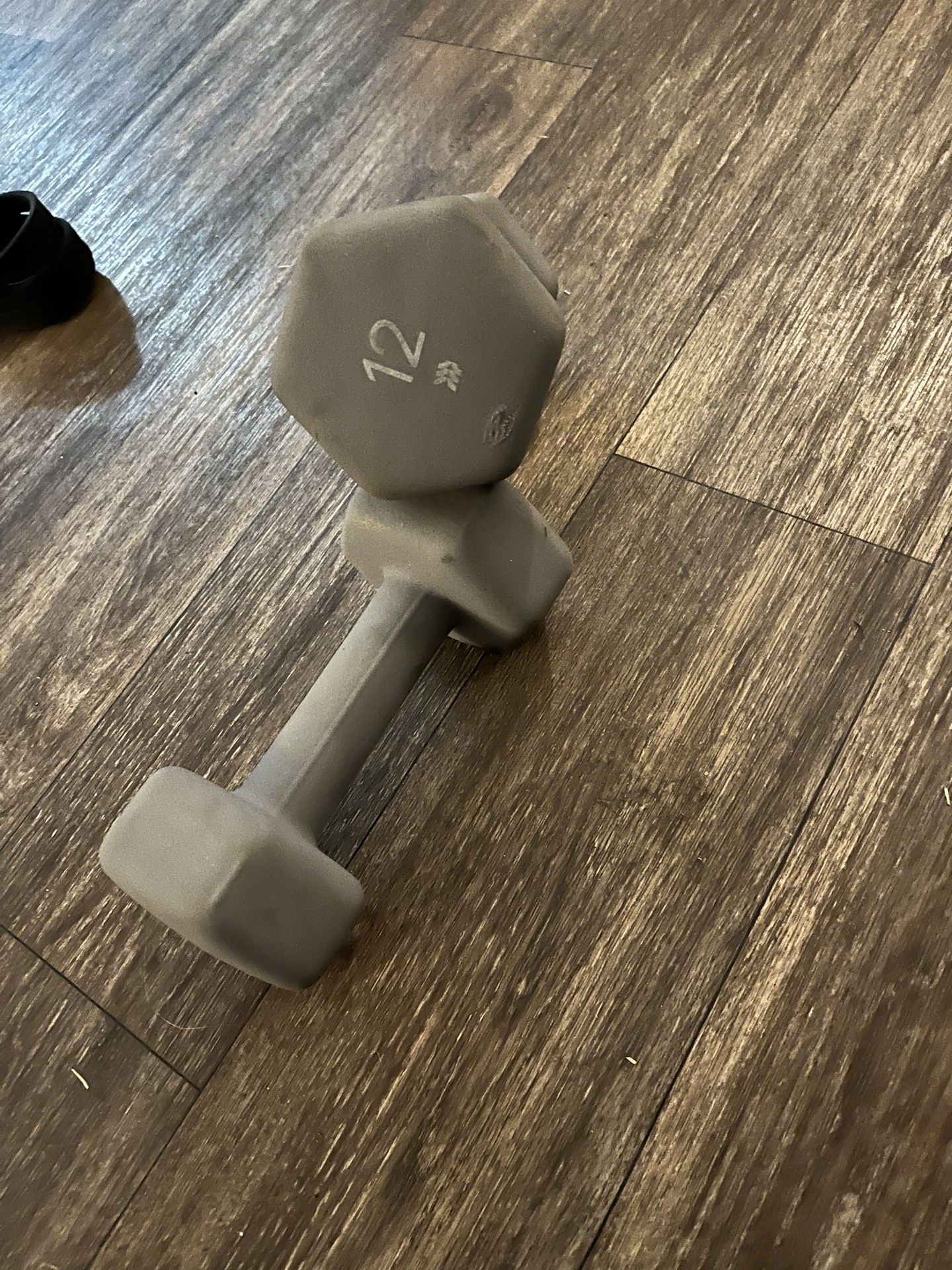 Pair Of 12lbs Weights
