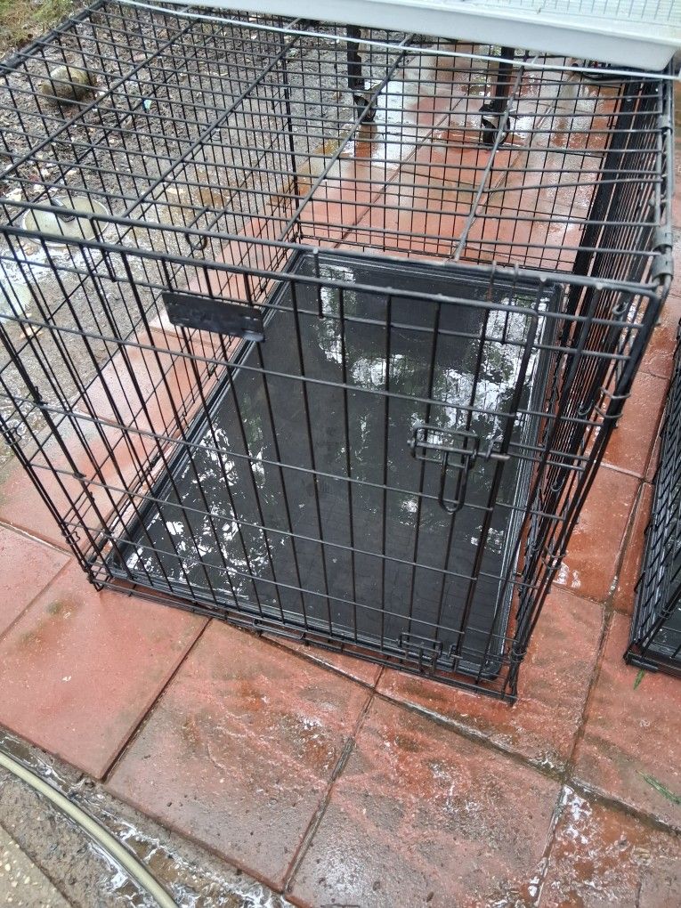 X Large 2 Door Dog Kennel