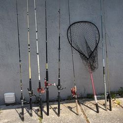 FISHING POLES AND NET