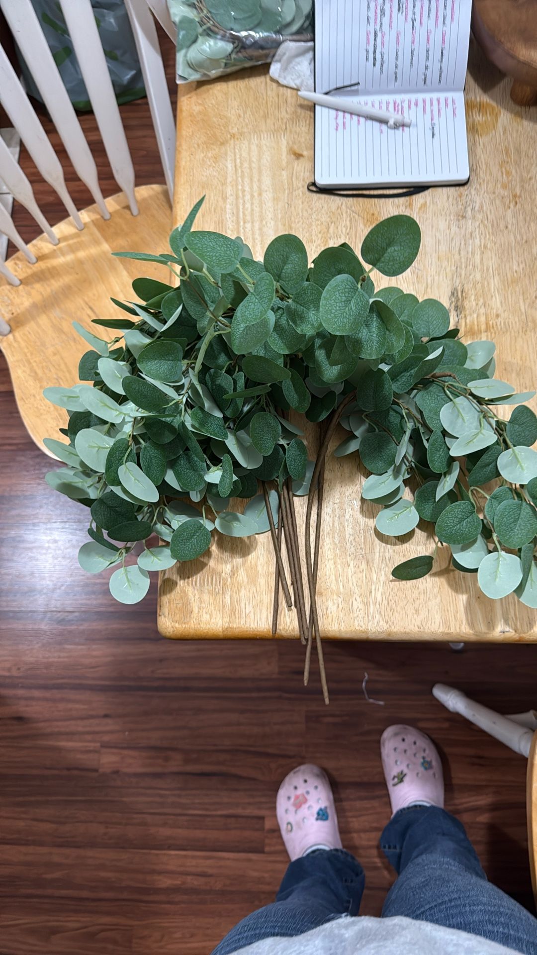 Eucalyptus 