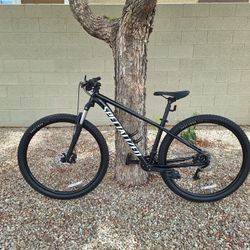 SPECIALIZED ROCKHOPPER SPORT 29 ER MOUNTAIN BIKE LIKE NEW ( CHECK MY OTHER BIKES)