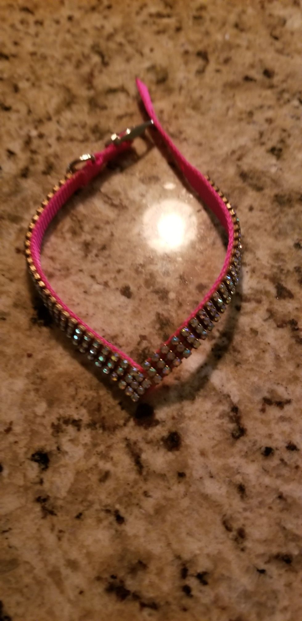 puppy necklace collar