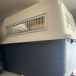 Dog Crate 