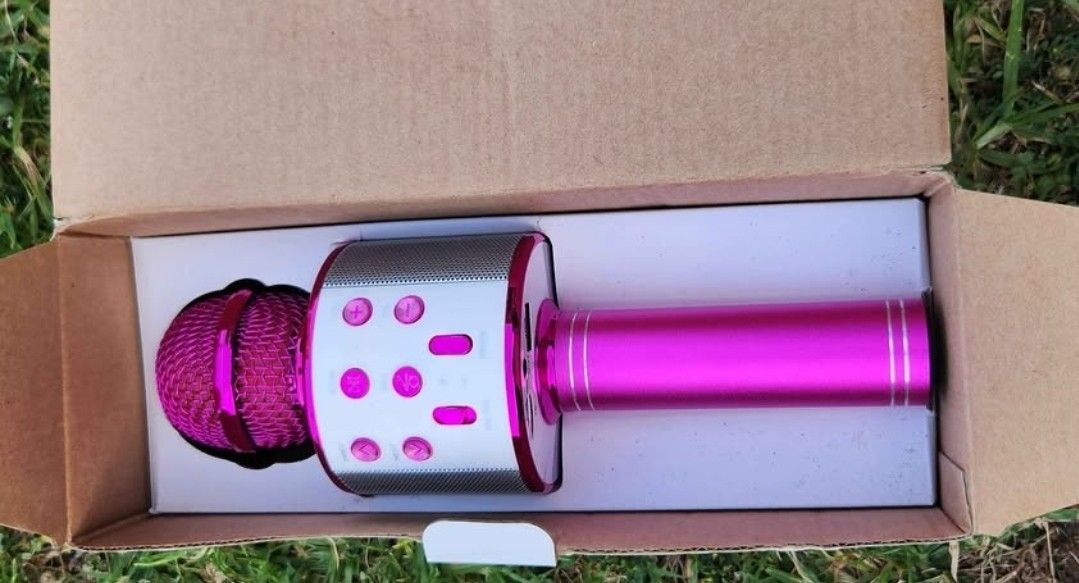 Pink microphone
