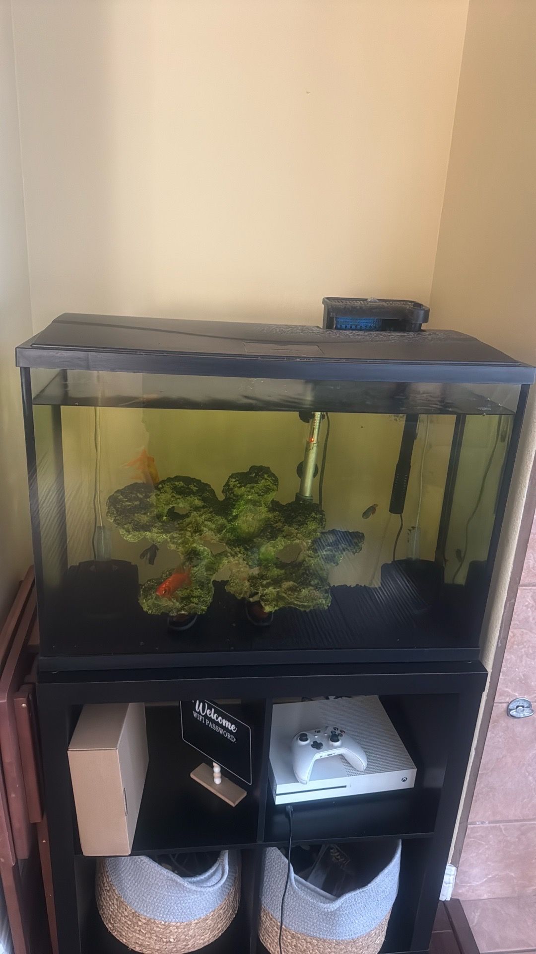29 gallons fish tank with everything included