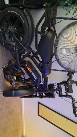 Ebike 2 Seater