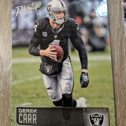 Raider Cards 