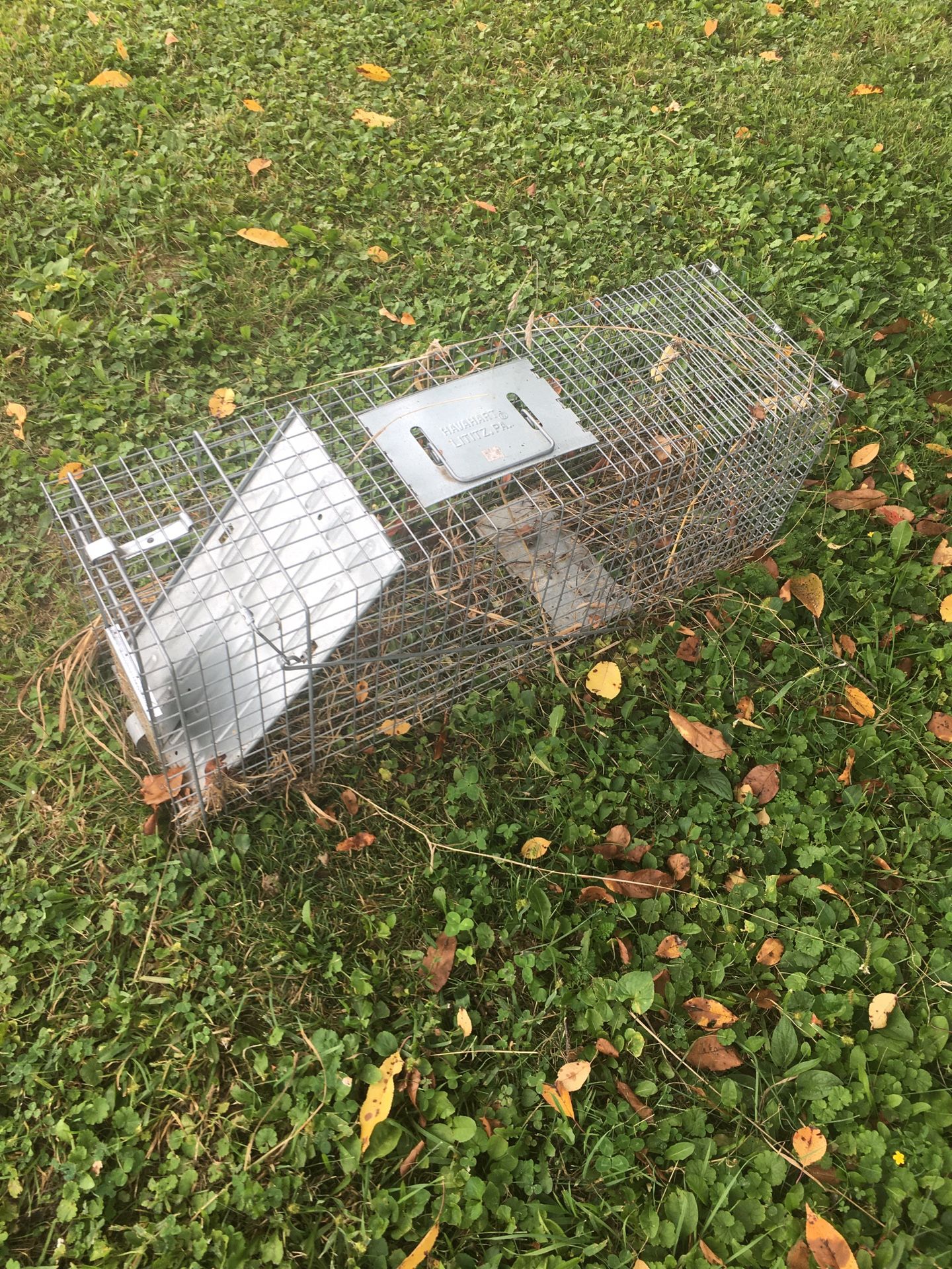 Trapping Cage Large