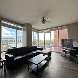 SPRING & SUMMER 24 SUBLEASE @ THE STANDARD