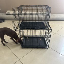 Animal Kennel Crate Small Size Only. 