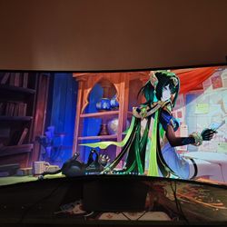 39in 240hz OLED Monitor 