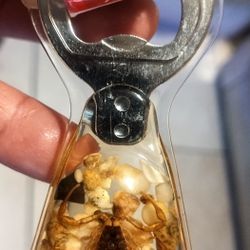 Bottle Opener Real Golden Scorpion 