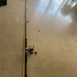 Ugly stick fishing pole