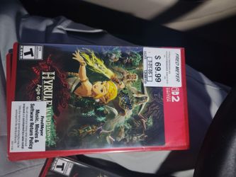 Switch 2 Hyrule Warrior