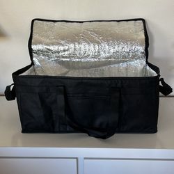 Insulated Bag, ,large carrying case for equipment. 