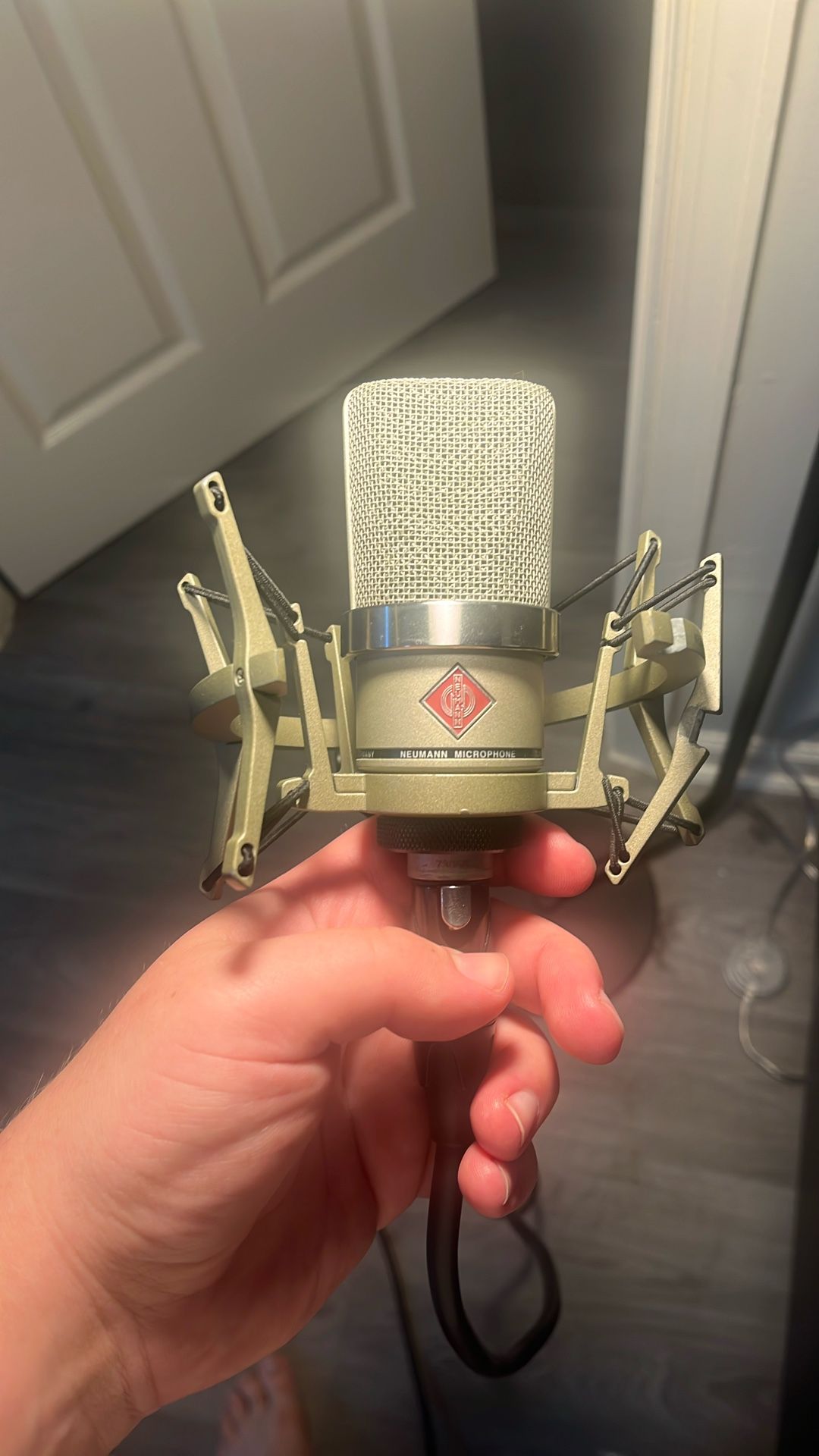 Neumann TLM102 Mic With Shock mount And Cable