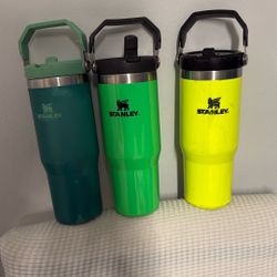 Stanley cups 30oz 