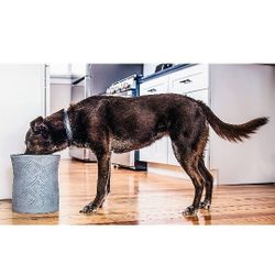 Pet Junkie Santa Fe Elevated Dog Bowl for Food and Water with Stainless Steel Washable Inner Bowl, Gray

