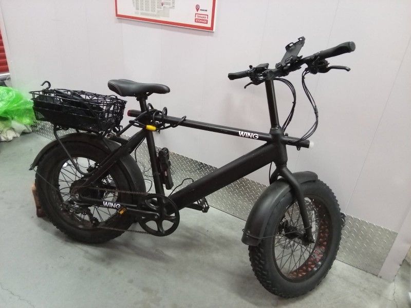 Electric Bike Wing Freedom Fatty 2.0