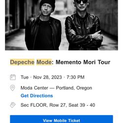 Depeche Mode Floor Seats