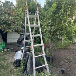 Ladder