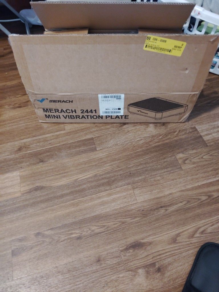Mini Vibration Plate