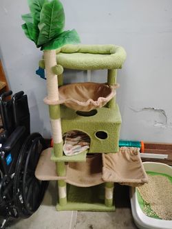 Indoor Playground Cat $30