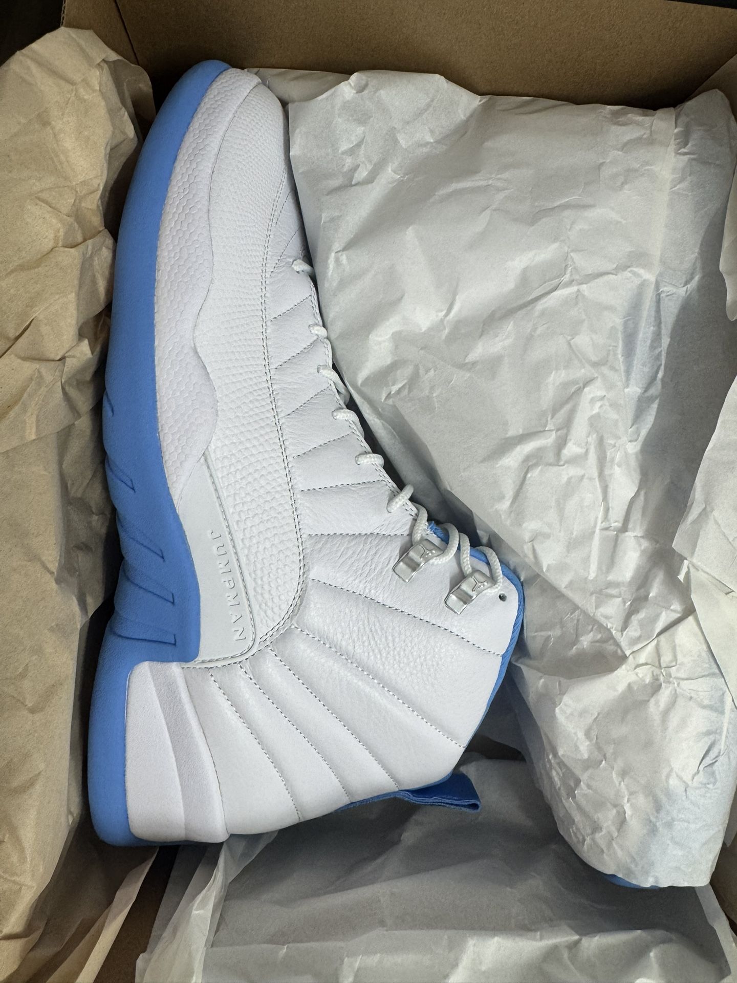 Jordan 12 Brand New In Box
