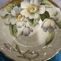 Aynsley Dogwood Rare Cup/saucer
