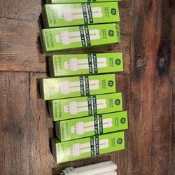 Light Bulbs- $25 For All 