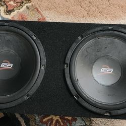 2 12" Subwoofers In Box . Cf2