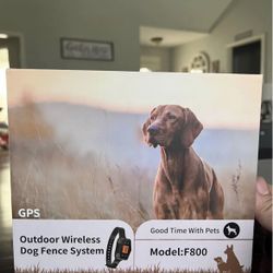 Outdoor Wireless Dog Fence And GPS 