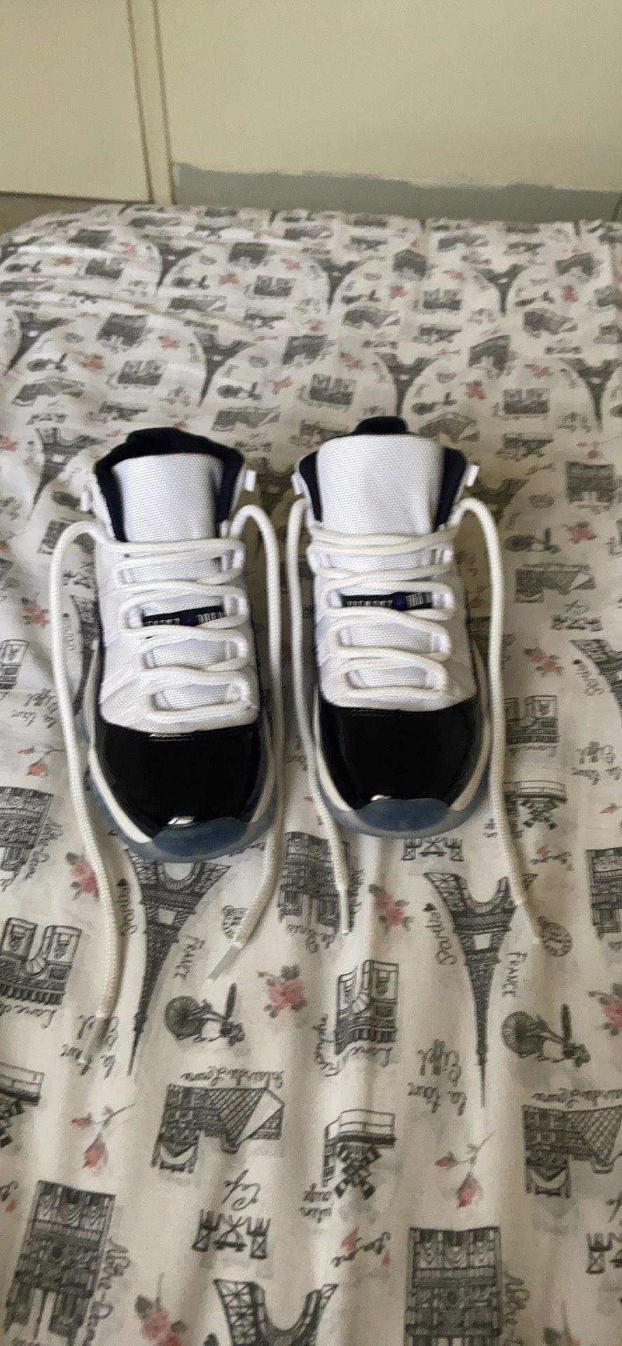 Air Jordan concord