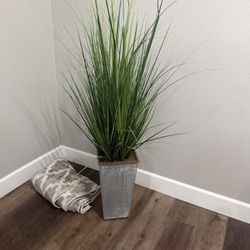 Faux Plant