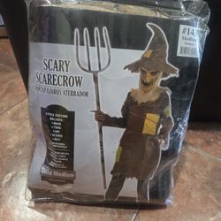 Disfraz  De Espanta Pajaros
