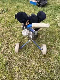 Golf Clubs and Caddy