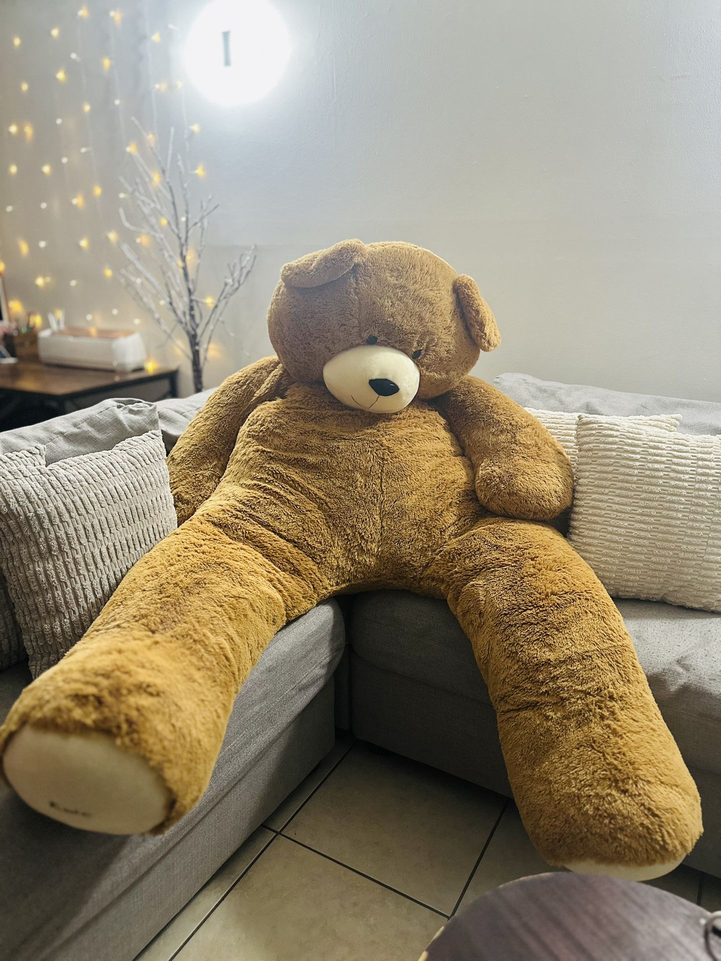 Giant teddy Bear 