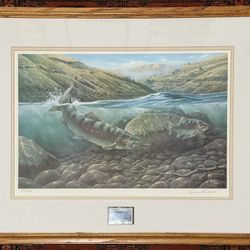 Fishing Art - Trout Steelhead