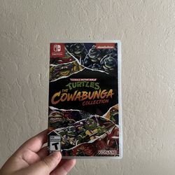 Nintendo switch game